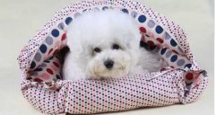 氣溫驟變，謹記寵物保暖工作哦！