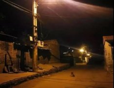 記憶中的老街巷口，有沒有一條等你回家的狗？